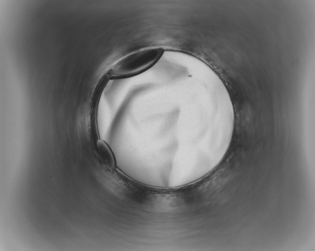 X0000112490344200909141208