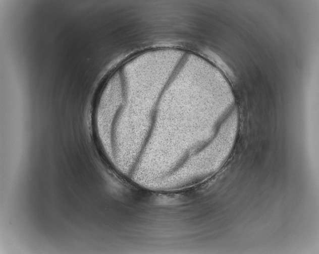 X0000112490346200909141208