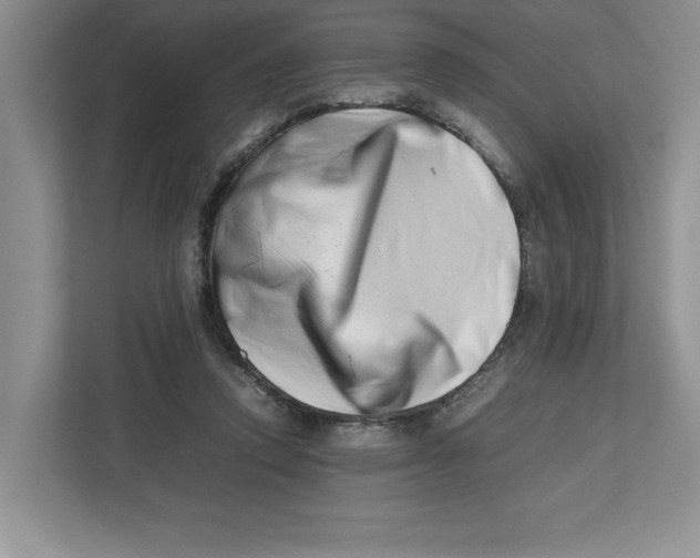 X0000112490354200909141208