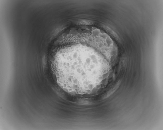 X0000112490359200909141209