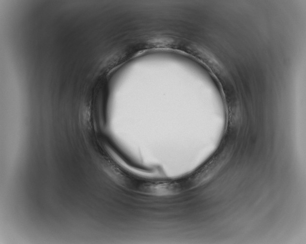 X0000112490365200909141209