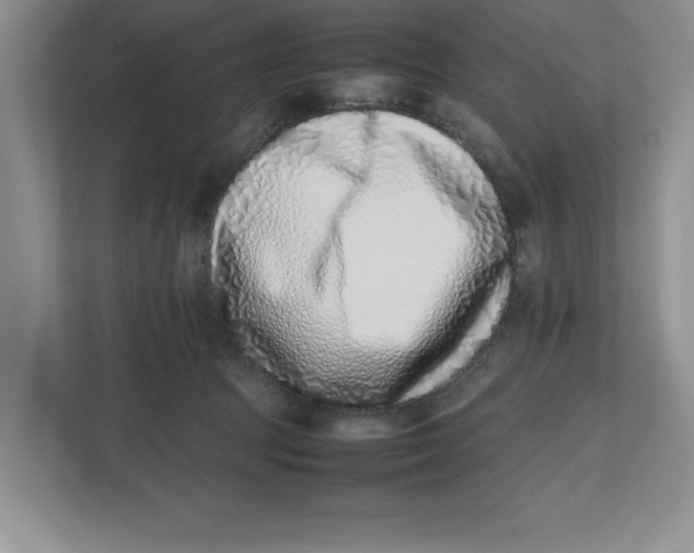 X0000112490369200909141209