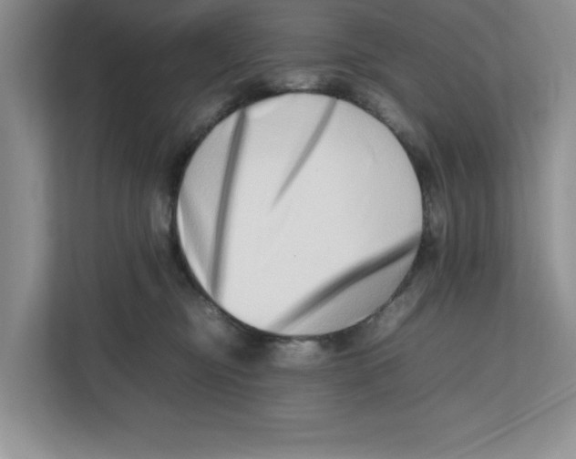 X0000112490374200909141209