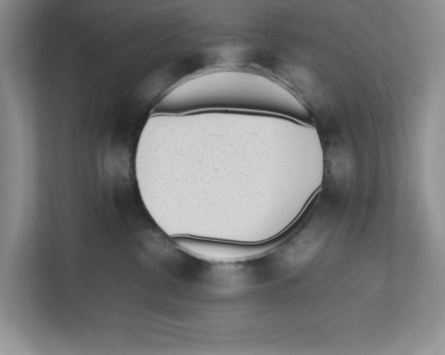 X0000112490380200909141209