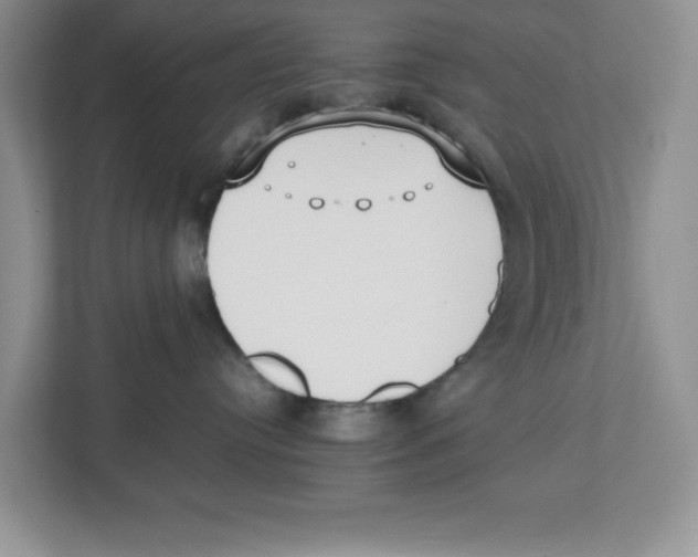 X0000112490384200909141209