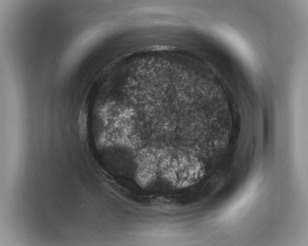 X0000112490387200909141208