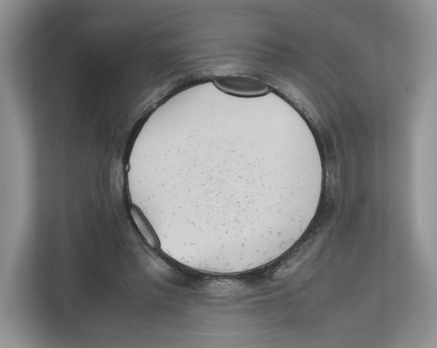 X0000112490397200909141208