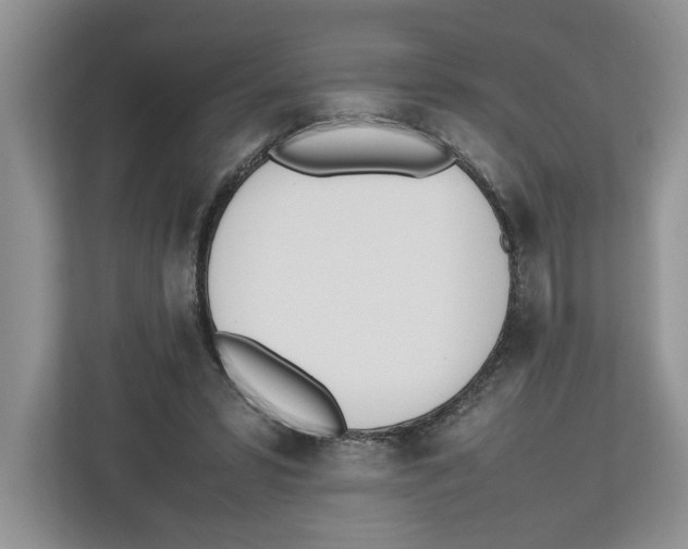 X0000112490399200909141208