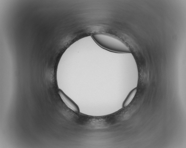 X0000112490403200909141208
