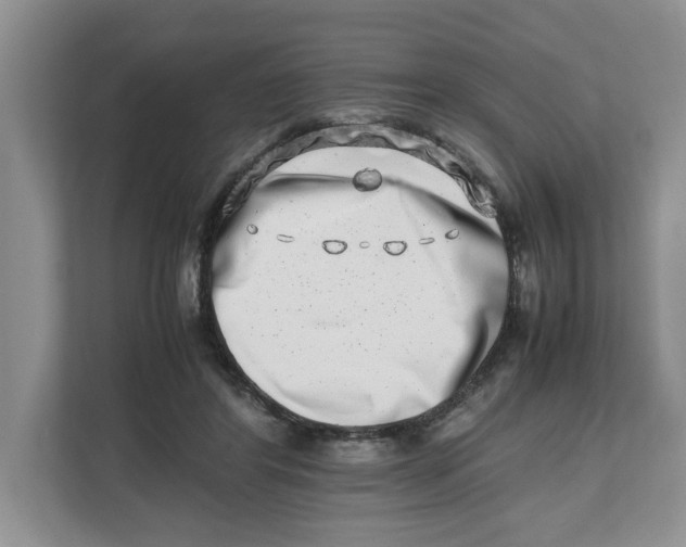 X0000112490404200909141208