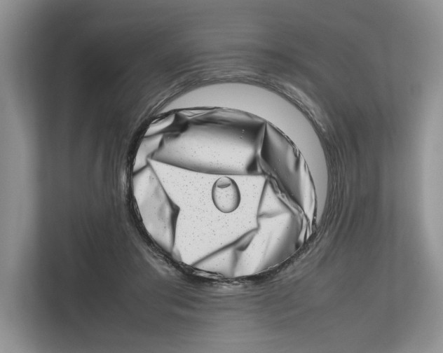 X0000112490405200909141208