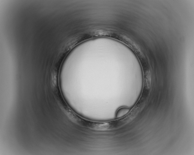 X0000112490410200909141208