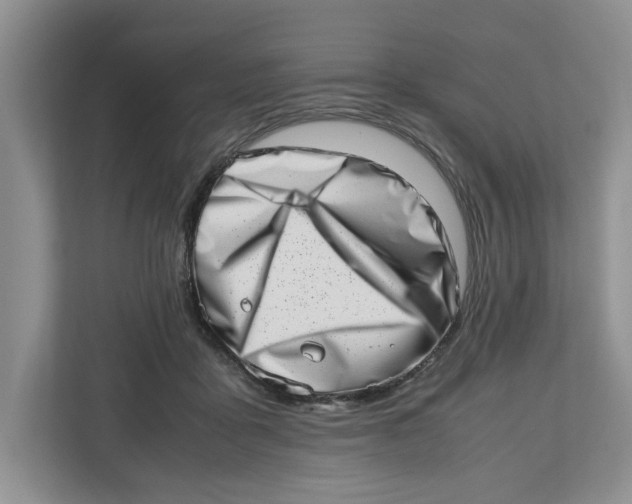 X0000112490411200909141208