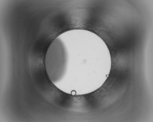 X0000112490415200909141208