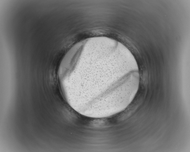 X0000112490418200909141208
