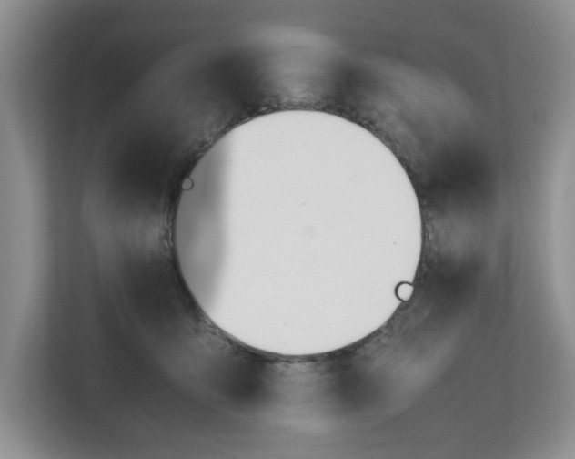 X0000112490419200909141208