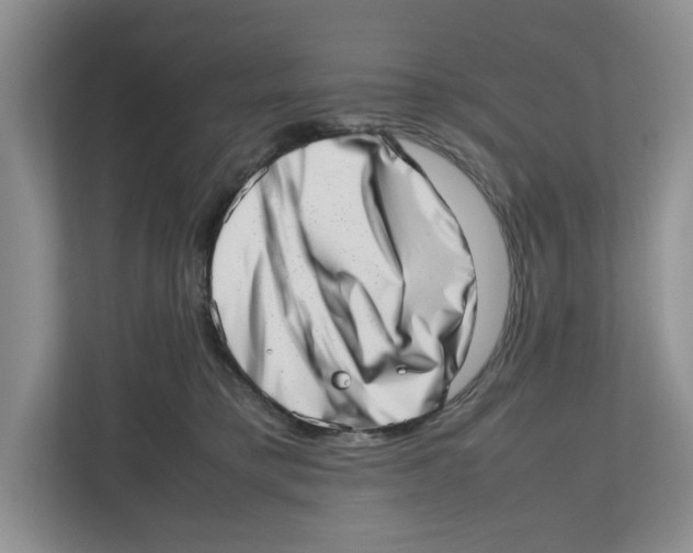 X0000112490421200909141208