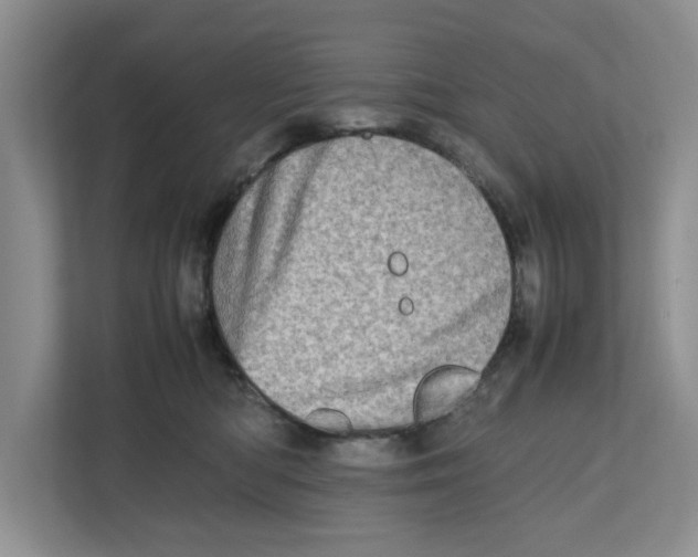 X0000112490422200909141208