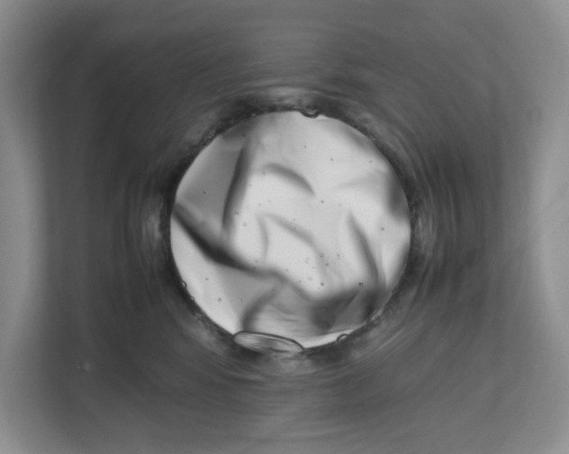 X0000112490424200909141208