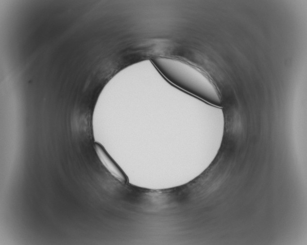 X0000112490425200909141208