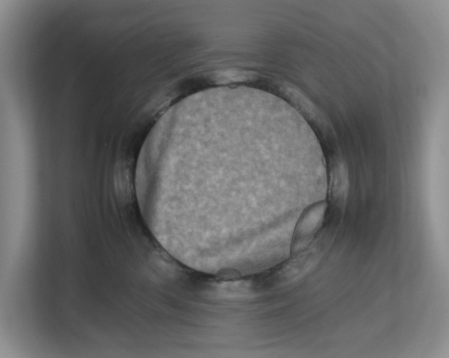 X0000112490426200909141208