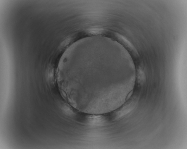 X0000112490428200909141208