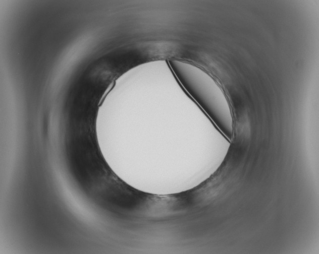 X0000112490429200909141208