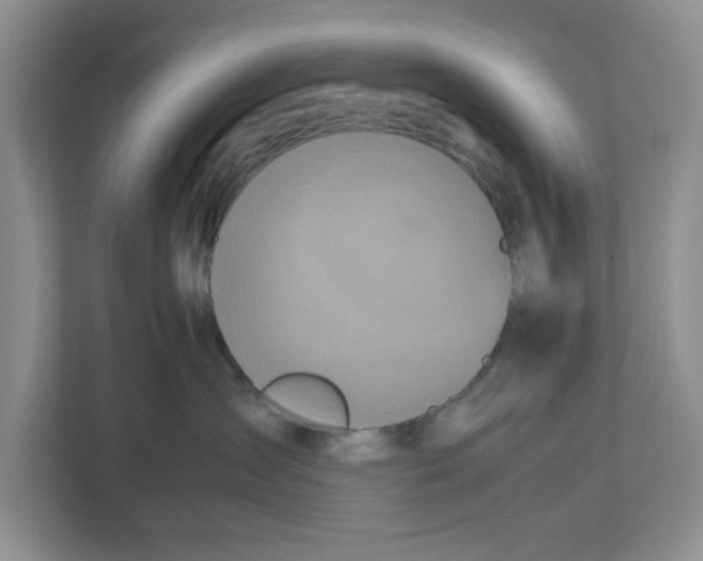 X0000112490431200909141208
