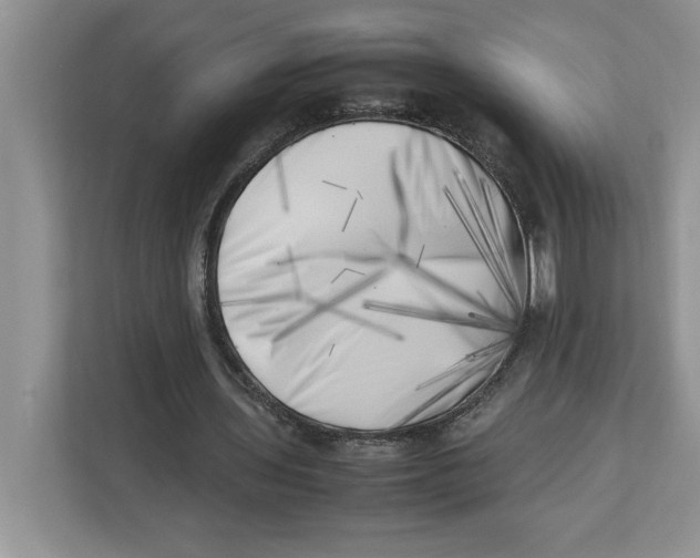 X0000112490435200909141207