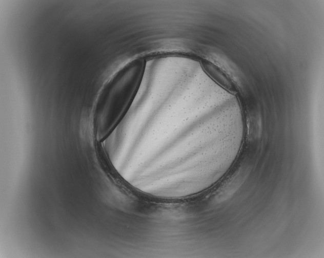 X0000112490436200909141207