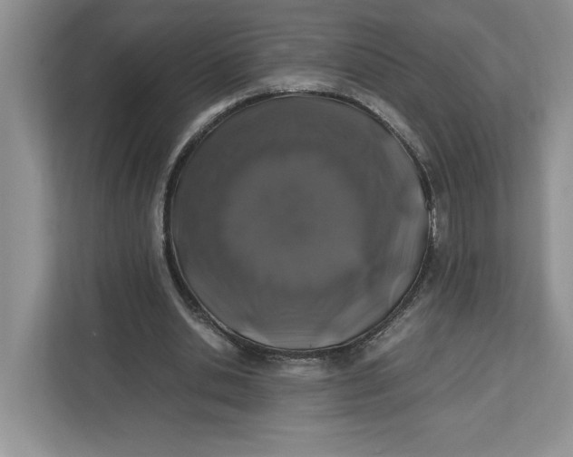X0000112490438200909141207