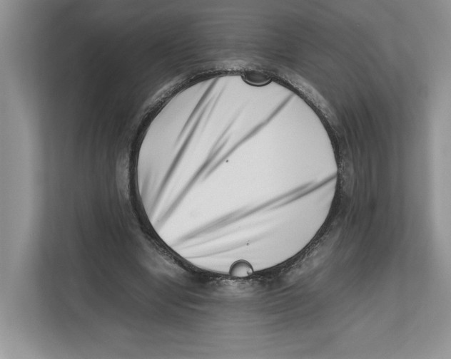 X0000112490442200909141207