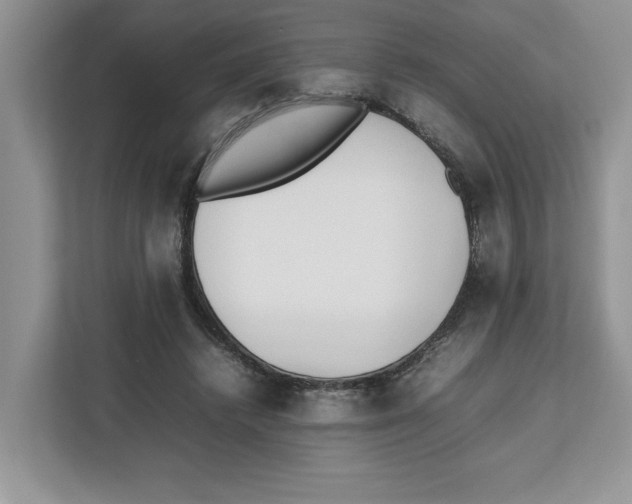 X0000112490448200909141207