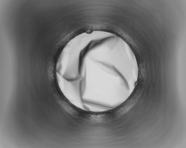 X0000112490450200909141207