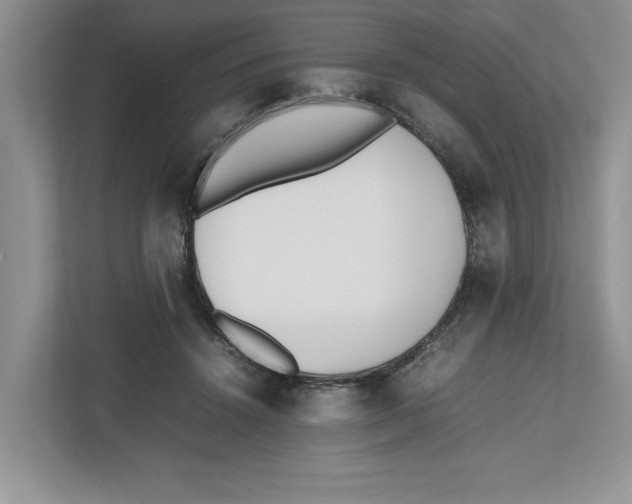 X0000112490456200909141207