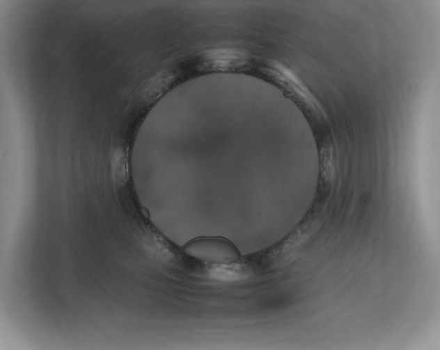 X0000112490471200909141207