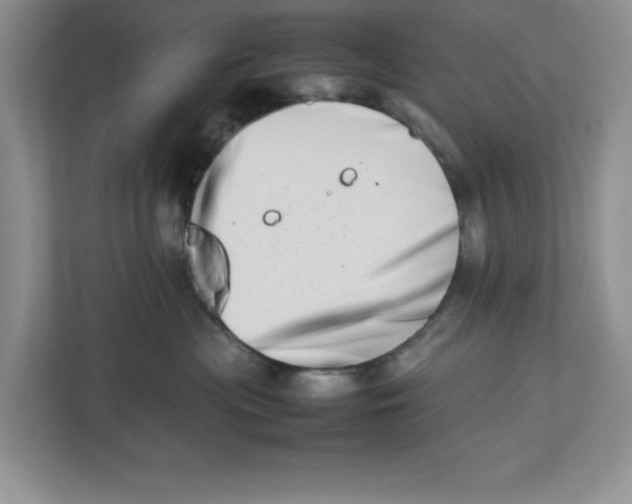 X0000112490477200909141208