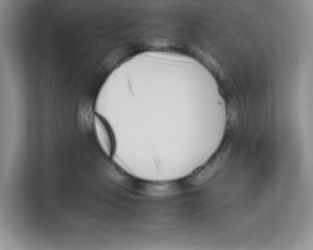 X0000112490479200909141208