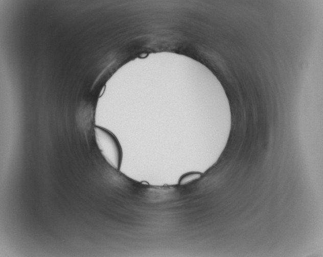 X0000112490480200909141208