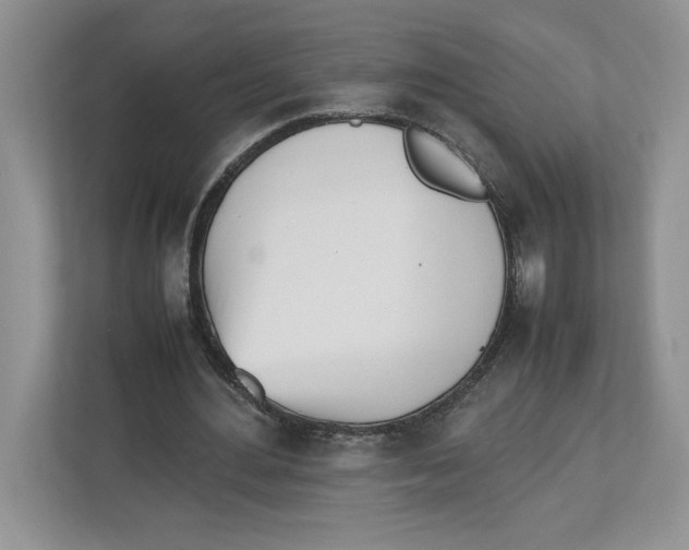 X0000112490484200909141207
