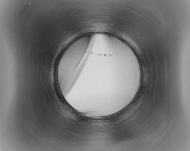 X0000112490486200909141207