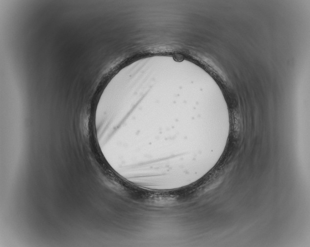 X0000112490491200909141207