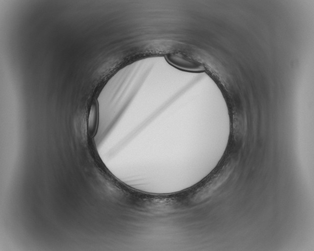 X0000112490493200909141207