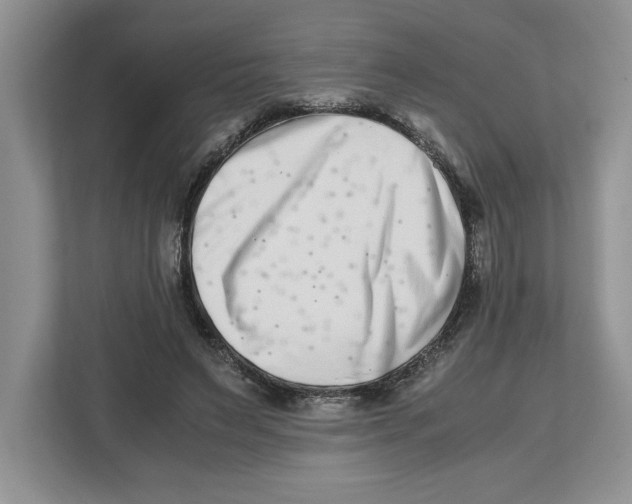 X0000112490495200909141207