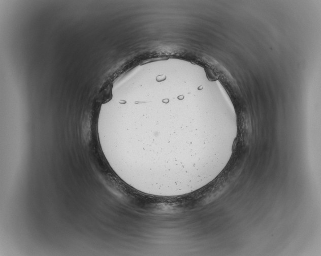 X0000112490496200909141207