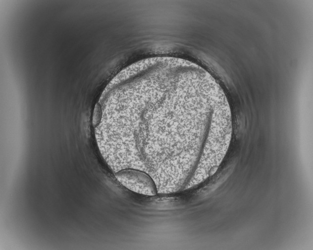 X0000112490497200909141207