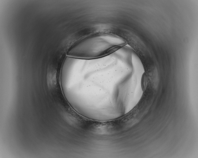 X0000112490504200909141207
