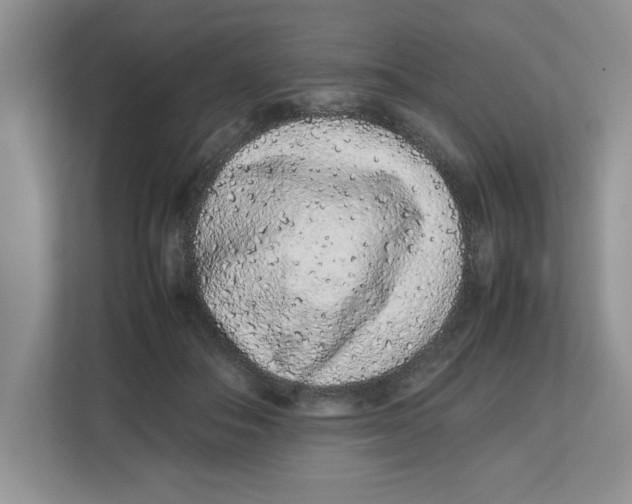 X0000112490506200909141207