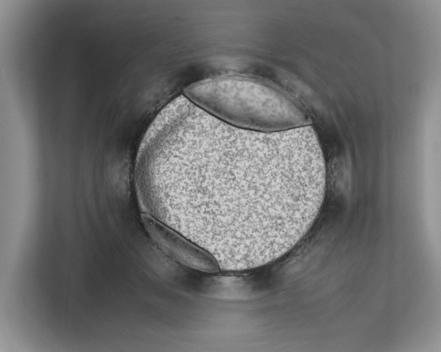 X0000112490509200909141207
