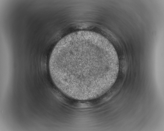 X0000112490510200909141207